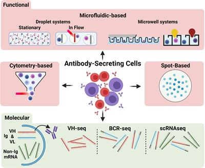 Single-Cell Technologies for the Study of Antibody-Secreting Cells